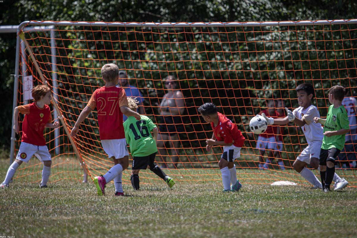 世界杯直播在线观看